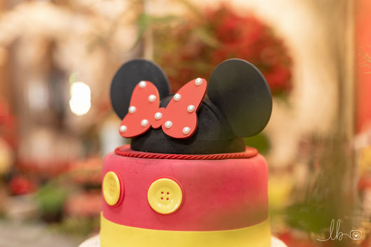 Aniversário Infantil Rio Preto , Maria Eduarda 2 anos